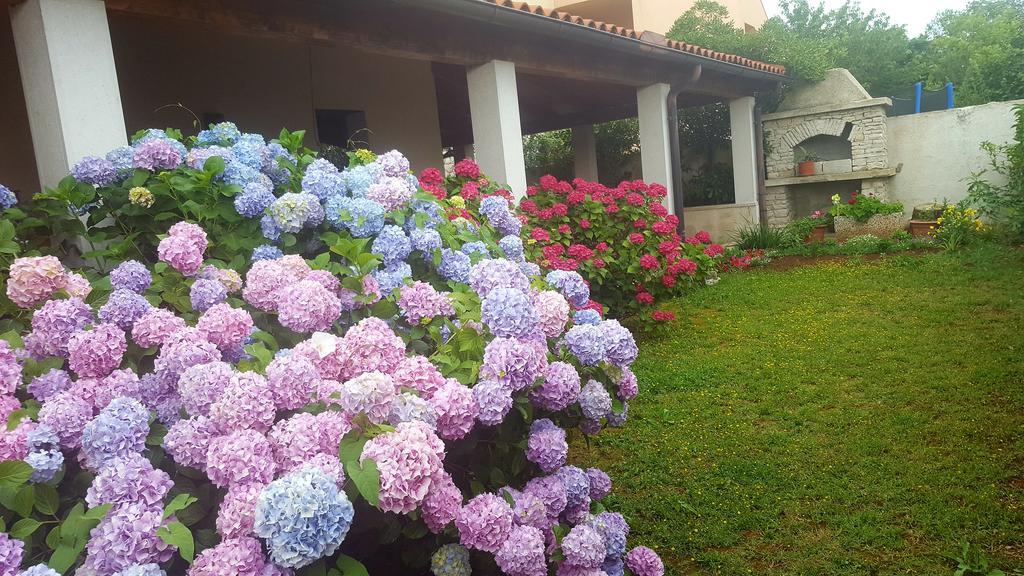 Bed & Breakfast Banjole Zewnętrze zdjęcie